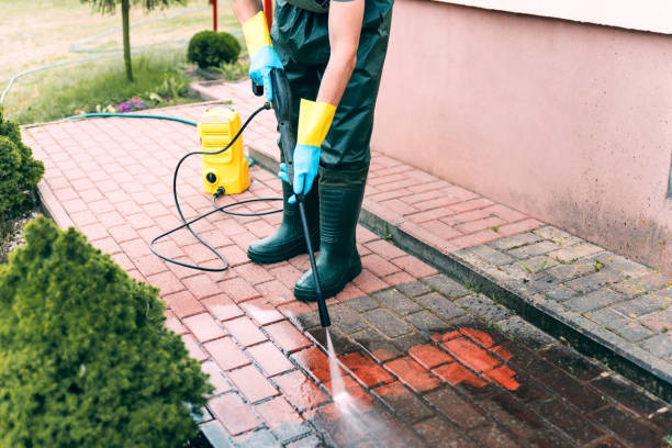 Animal Enclosure Cleaning in Haubstadt, IN